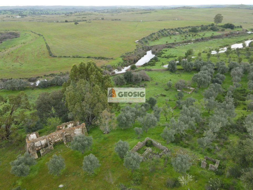 Quinta T2 para Venda em Santa Cruz Foto 43