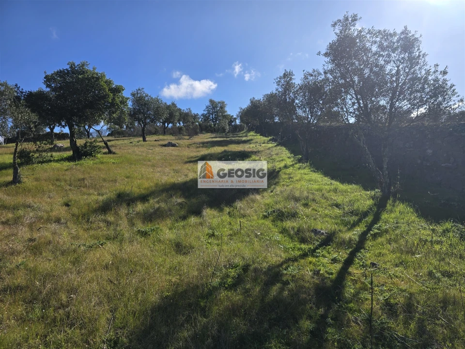 Quinta T2 para Venda em Santa Cruz Foto 30