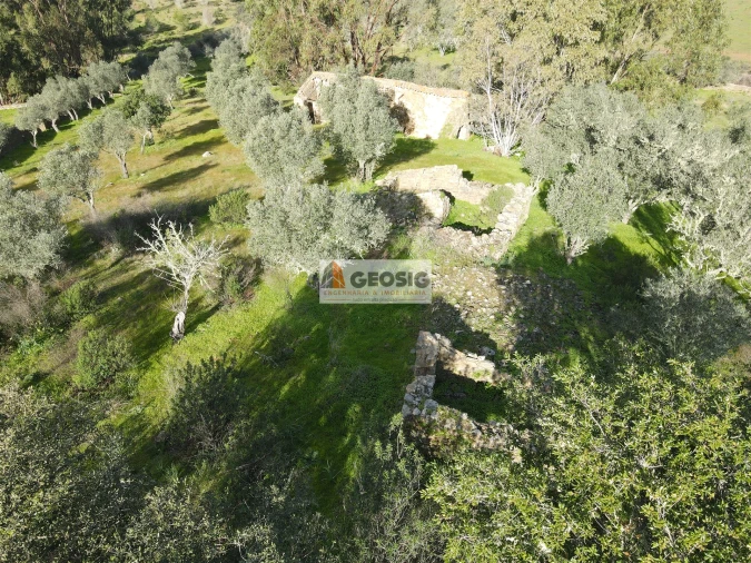 Quinta T2 para Venda em Santa Cruz Foto 2