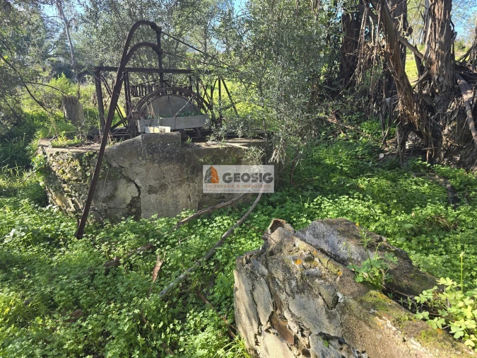 Quinta T2 para Venda em Santa Cruz Foto 27