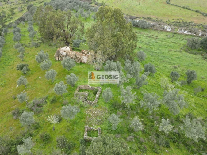 Quinta T2 para Venda em Santa Cruz Foto 3