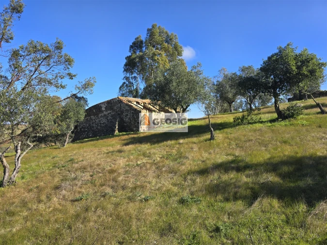 Quinta T2 para Venda em Santa Cruz Foto 10