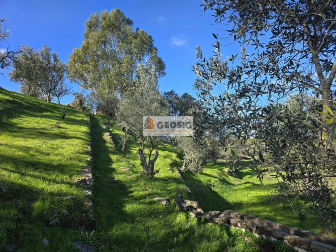 Quinta T2 para Venda em Santa Cruz Foto 23