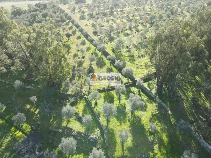 Quinta T2 para Venda em Santa Cruz Foto 42