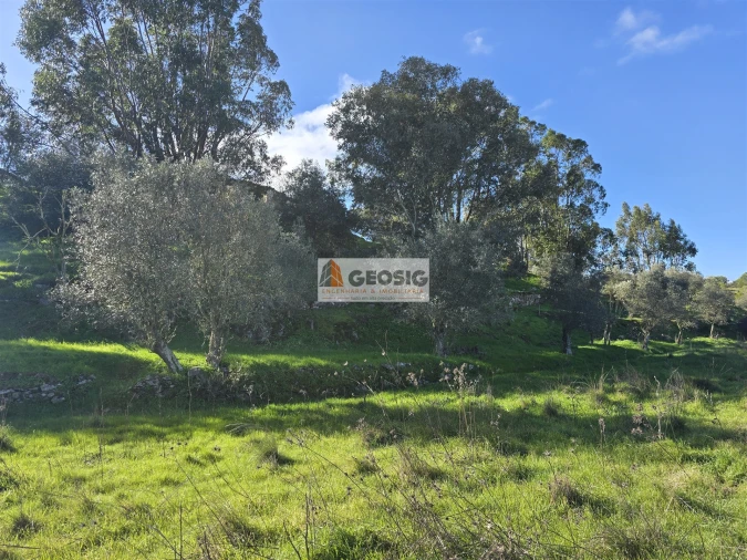 Quinta T2 para Venda em Santa Cruz Foto 20