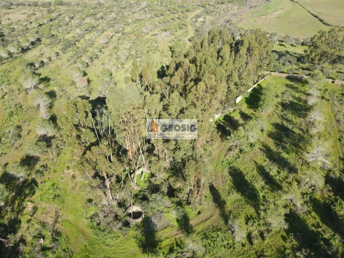 Quinta T2 para Venda em Santa Cruz Foto 40