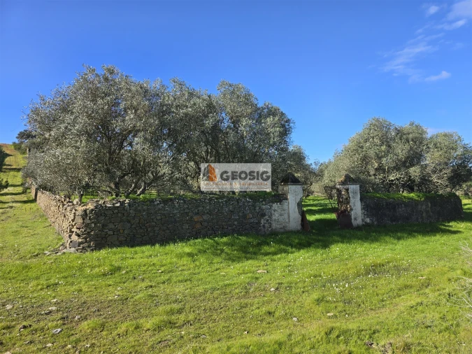 Quinta T2 para Venda em Santa Cruz Foto 7