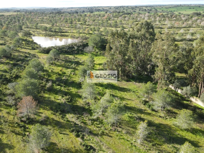 Quinta T2 para Venda em Santa Cruz Foto 35