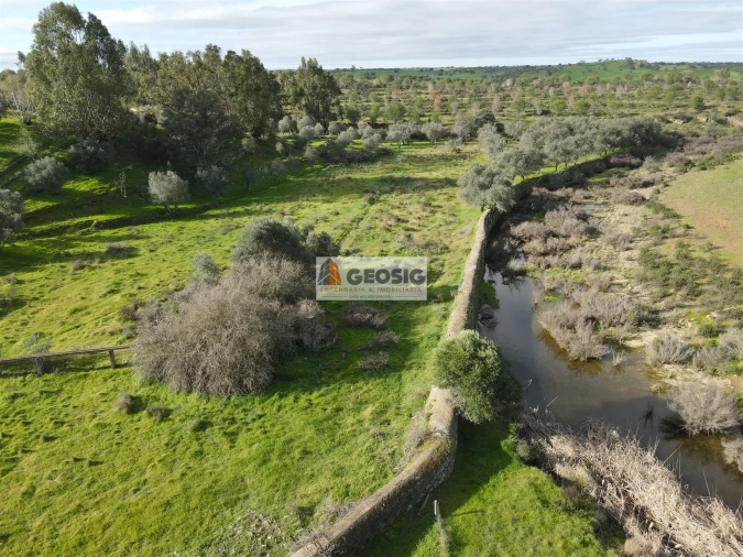 Quinta T2 para Venda em Santa Cruz Foto 34