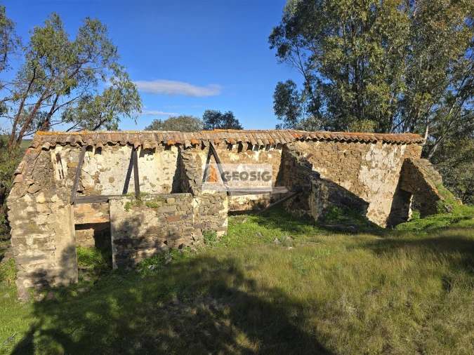 Quinta T2 para Venda em Santa Cruz Foto 13