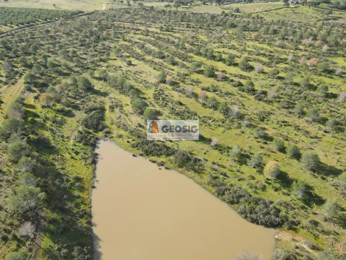 Quinta T2 para Venda em Santa Cruz Foto 36