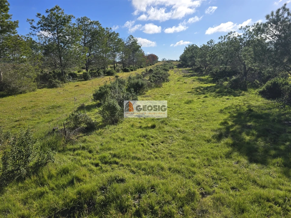 Quinta T2 para Venda em Santa Cruz Foto 31