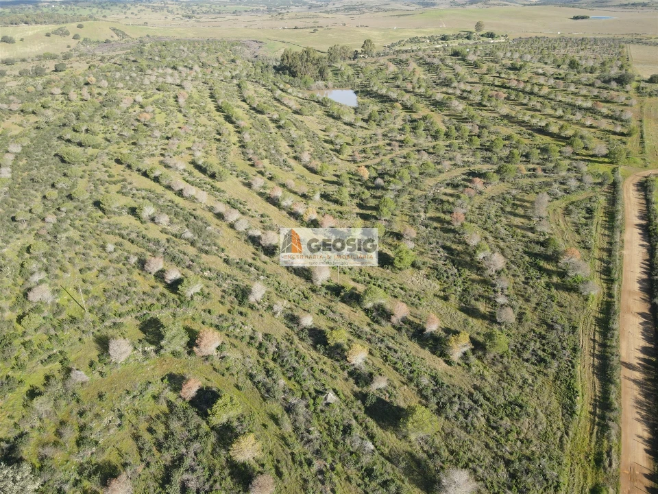 Quinta T2 para Venda em Santa Cruz Foto 38