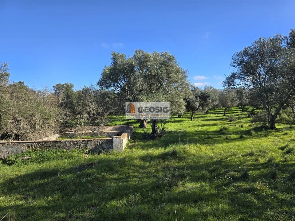 Quinta T2 para Venda em Santa Cruz Foto 22