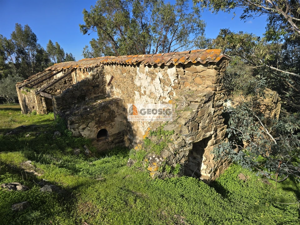 Quinta T2 para Venda em Santa Cruz Foto 12