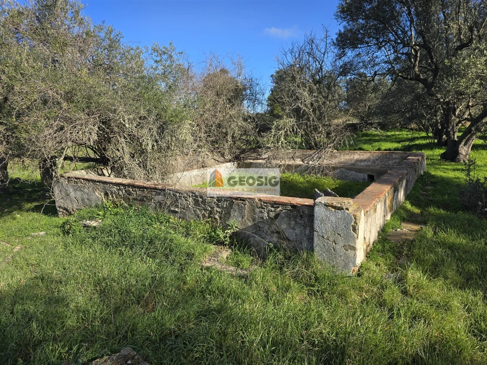 Quinta T2 para Venda em Santa Cruz Foto 15