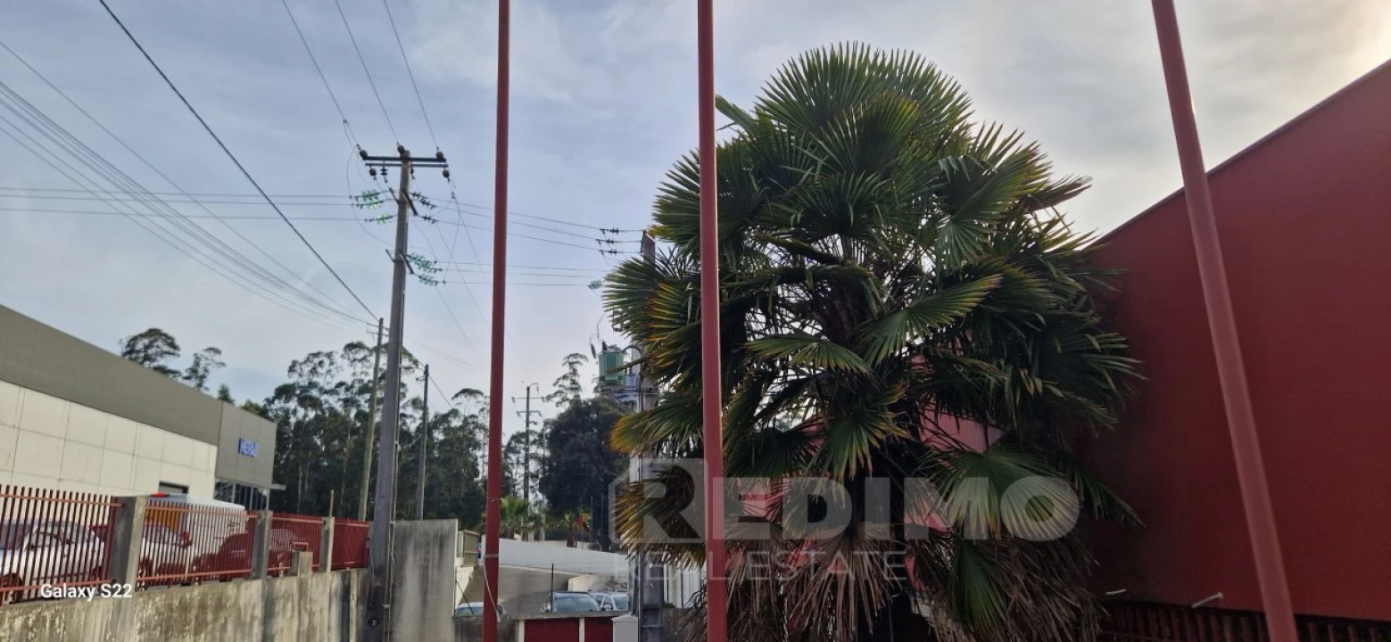 Armazém para Venda em Lourosa Foto 6