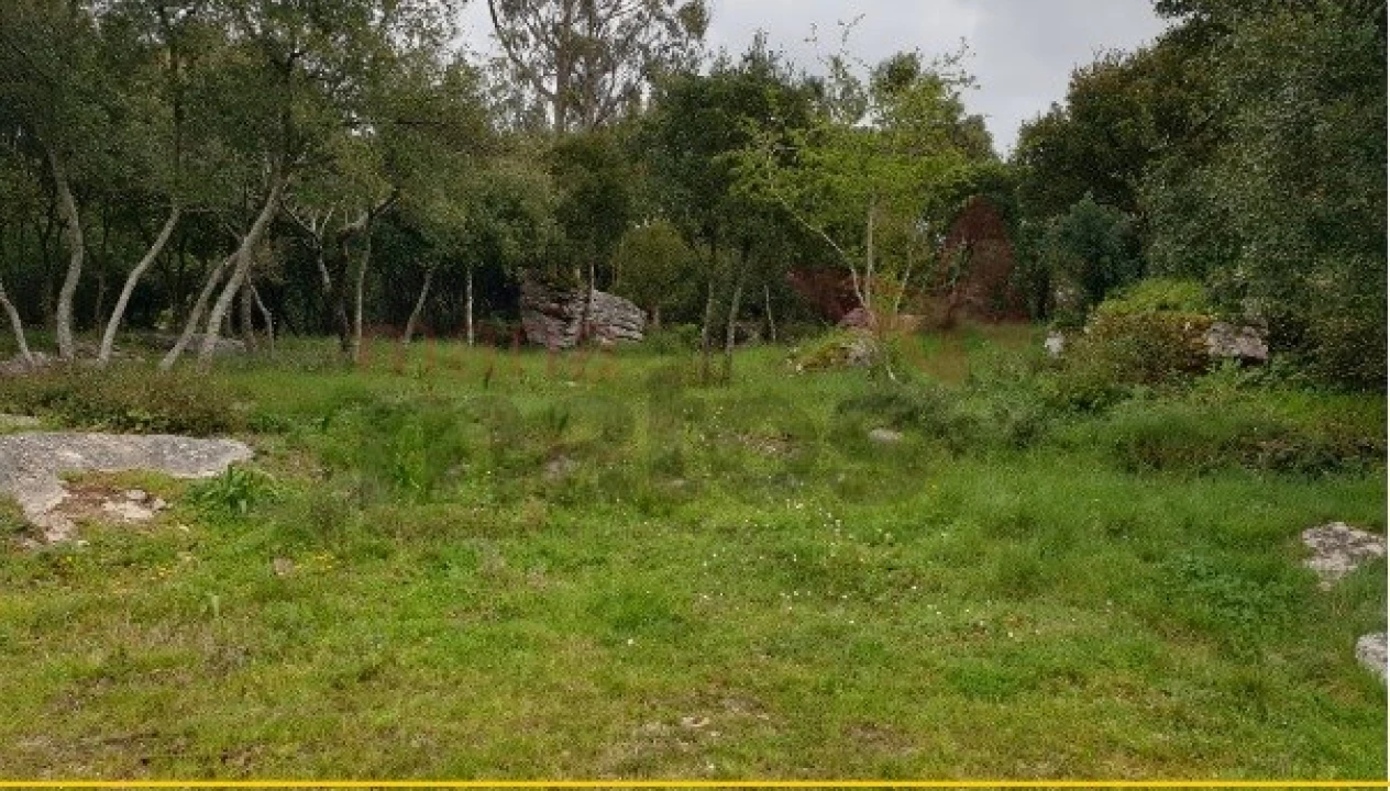 Terreno para Venda em Reguengo Grande Foto 3