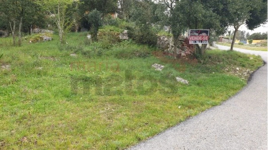 Terreno para Venda em Reguengo Grande Foto 4