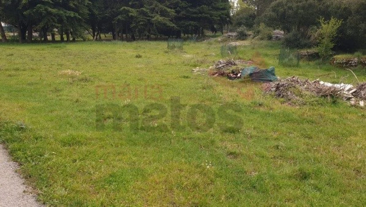 Terreno para Venda em Reguengo Grande Foto 1