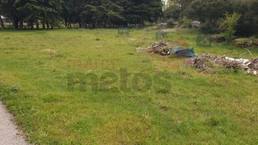 Terreno para Venda em Reguengo Grande