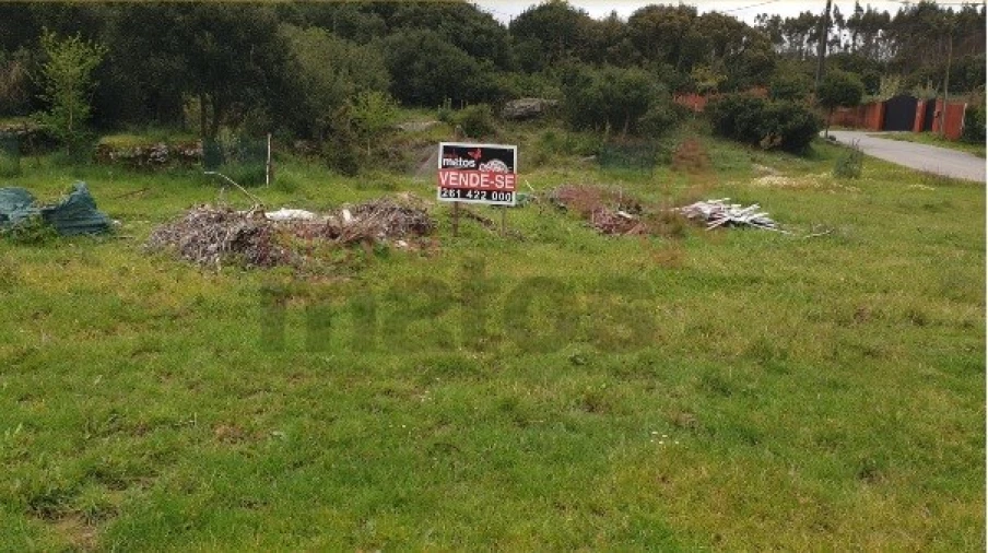 Terreno para Venda em Reguengo Grande Foto 2