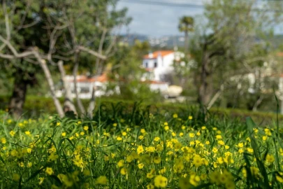 Moradia T4 para Venda em Olhão