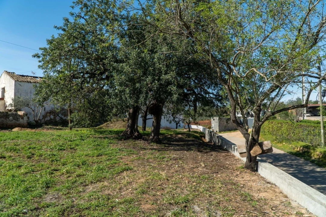 Moradia T4 para Venda em Olhão Foto 35