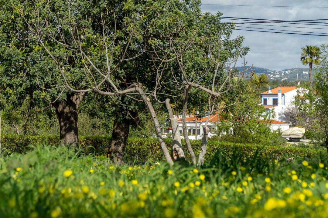 Moradia T4 para Venda em Olhão Foto 29