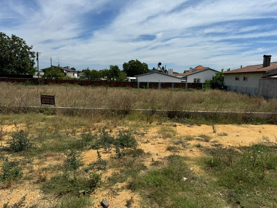 Terreno para Venda em Oliveira do Bairro Foto 2