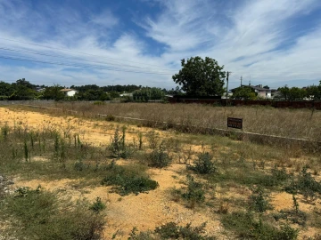 Terreno para Venda em Oliveira do Bairro