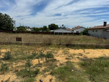 Terreno para Venda em Oliveira do Bairro