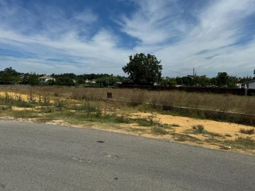 Terreno para Venda em Oliveira do Bairro