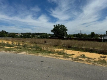 Terreno para Venda em Oliveira do Bairro