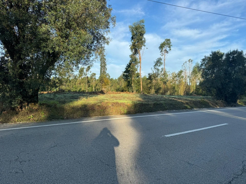 Terreno para Venda em Palhaça Foto 4