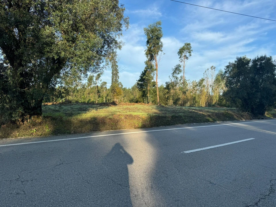 Terreno para Venda em Palhaça Foto 5