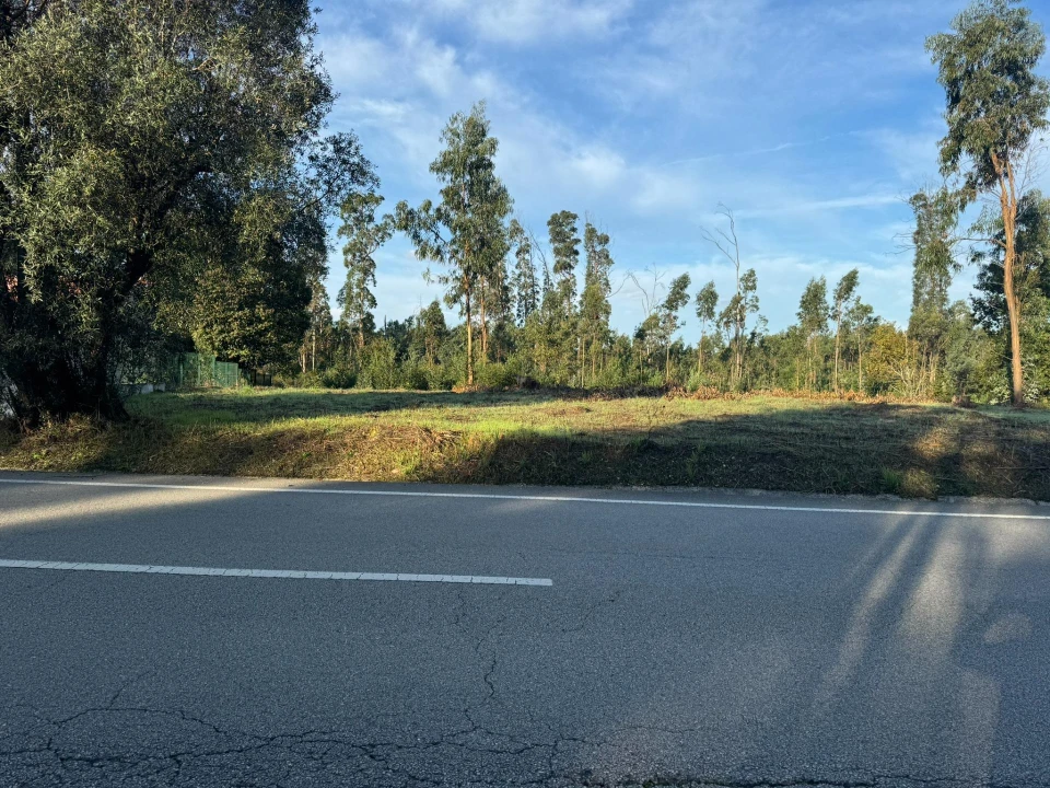 Terreno para Venda em Palhaça Foto 7