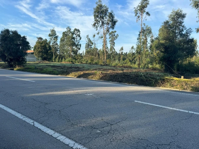 Terreno para Venda em Palhaça Foto 1