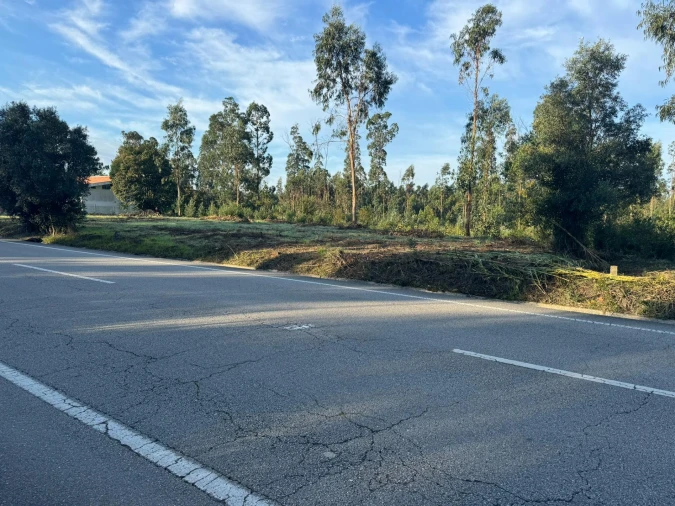 Terreno para Venda em Palhaça Foto 2