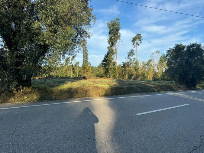 Terreno para Venda em Palhaça Foto 3