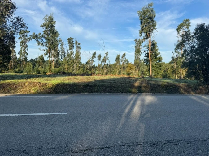 Terreno para Venda em Palhaça Foto 6