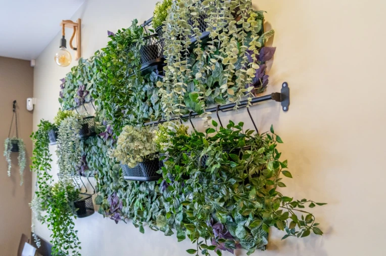 Negócio para Venda em Nazare Foto 12