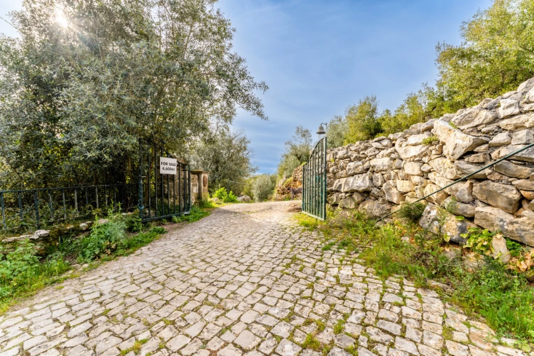 Moradia T4 para Venda em Aljubarrota Foto 22