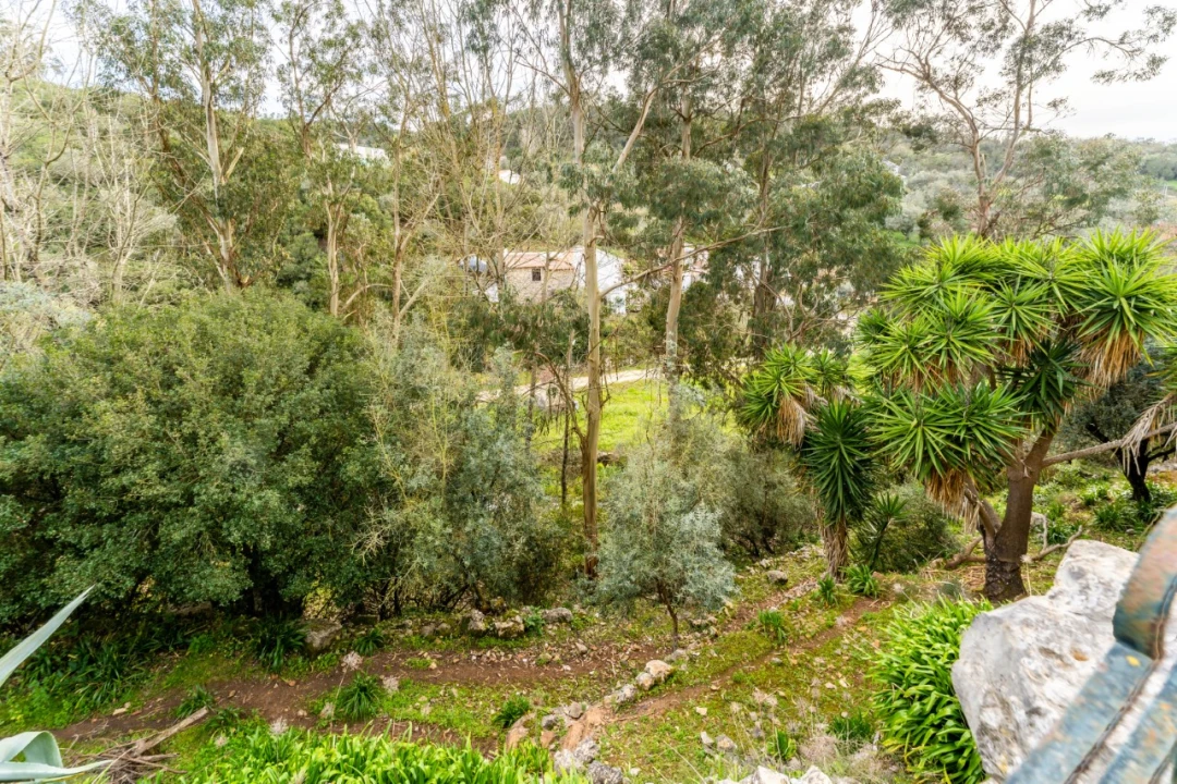 Moradia T4 para Venda em Aljubarrota Foto 28