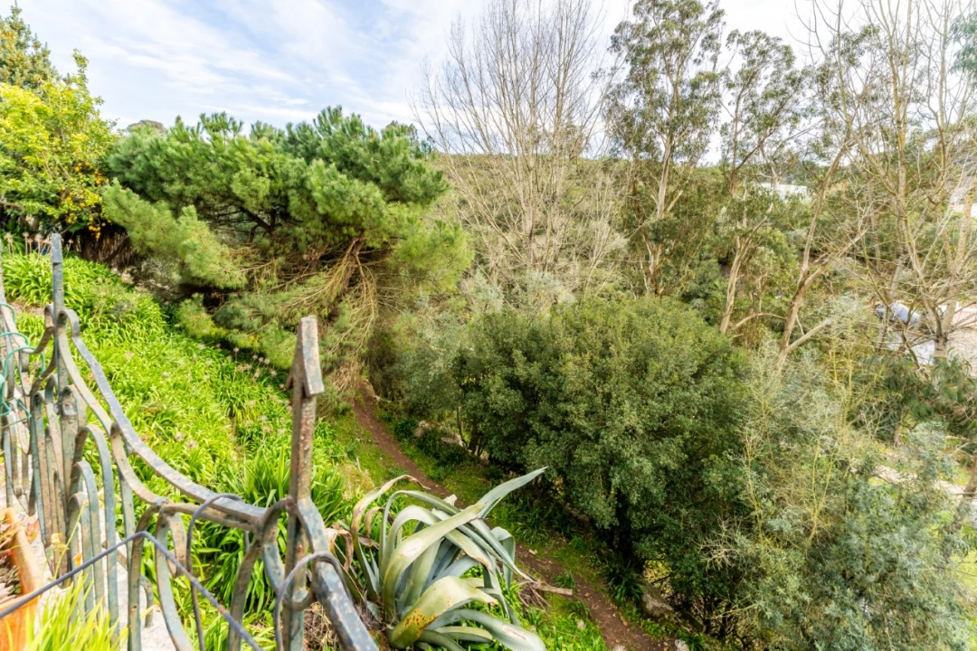 Moradia T4 para Venda em Aljubarrota Foto 30