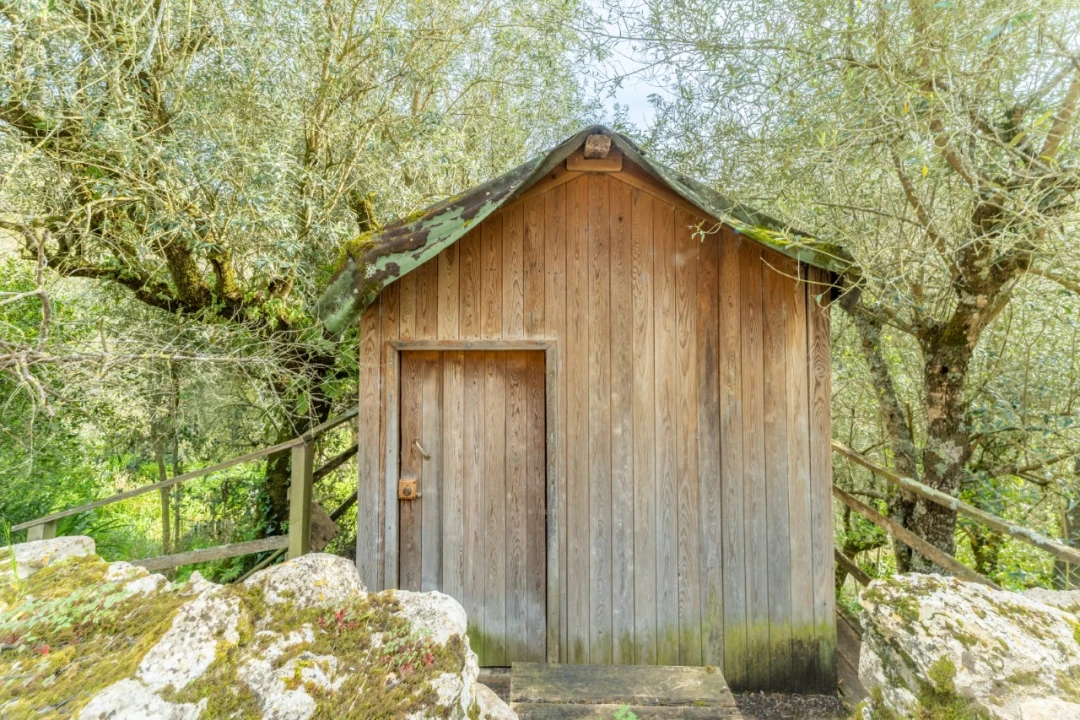 Moradia T4 para Venda em Aljubarrota Foto 34