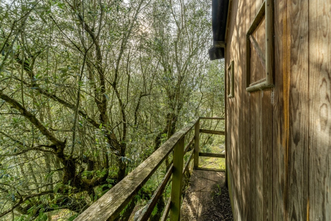 Moradia T4 para Venda em Aljubarrota Foto 35