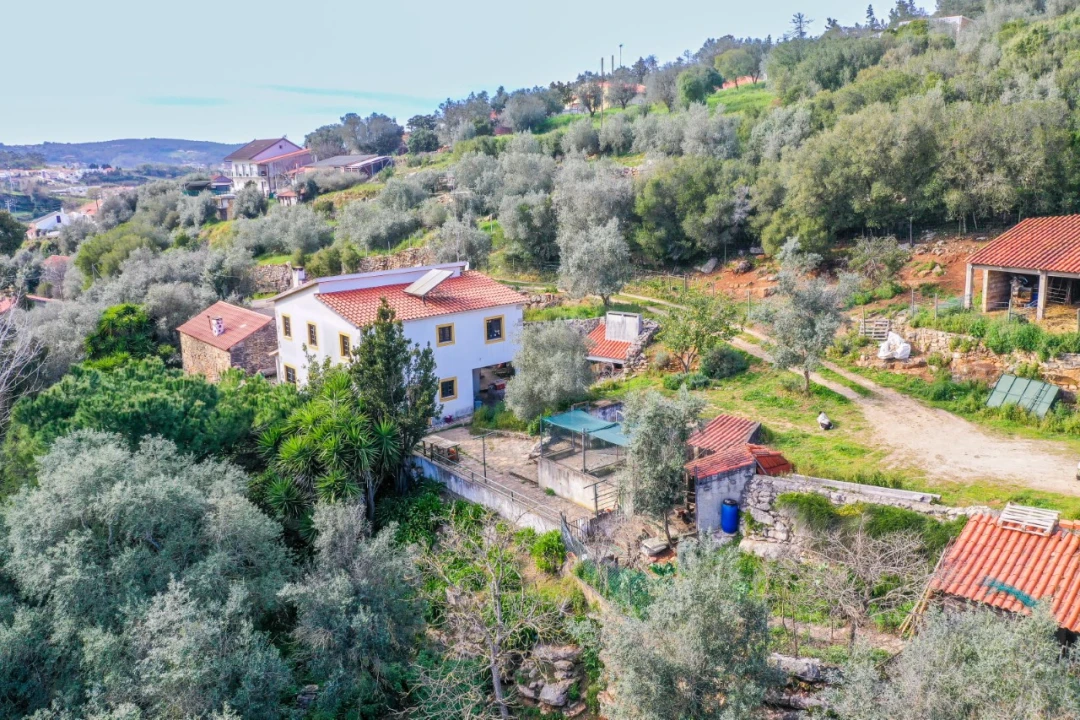 Moradia T4 para Venda em Aljubarrota Foto 3