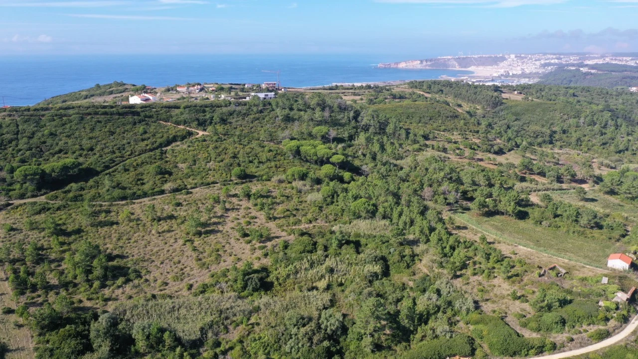 Terreno Misto para Venda em Famalicão Foto 2