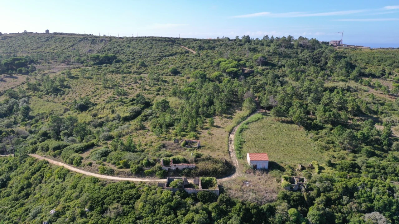 Terreno Misto para Venda em Famalicão Foto 3